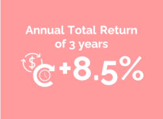 Annual total return