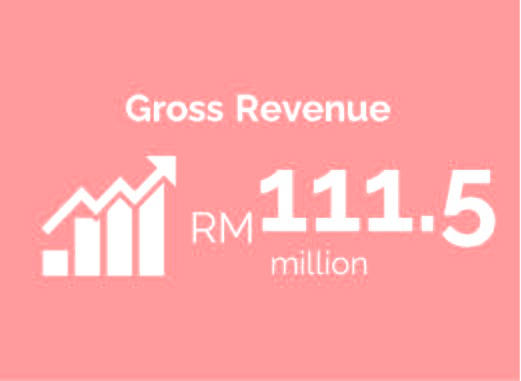 Gross revenue